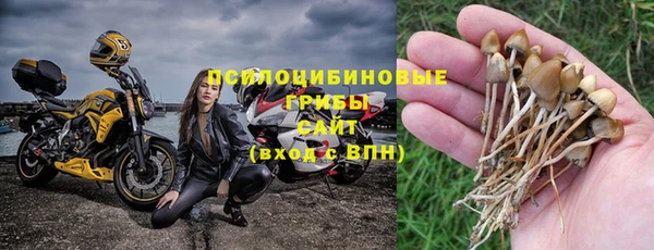 мдпв Балабаново