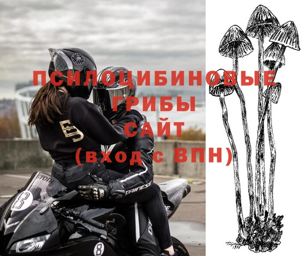 прущие грибы Остров