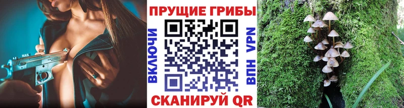 как найти наркотики Котельники darknet как зайти Галлюциногенные грибы GOLDEN TEACHER